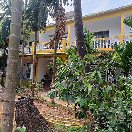 Lavish Exotic Hotel & Apartments Arambol Buitenkant foto